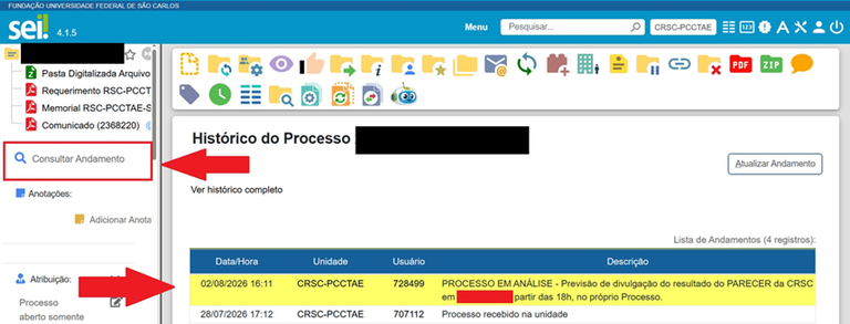 Consultar processo.png