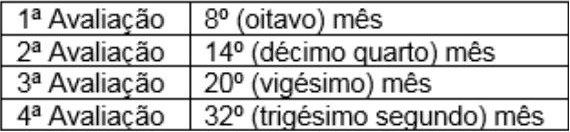 Estágio Probatório - Período de Avaliações